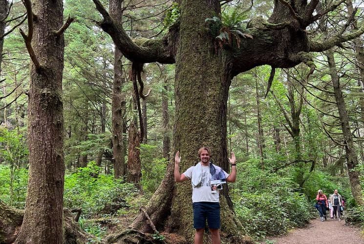 Hoh Rainforest