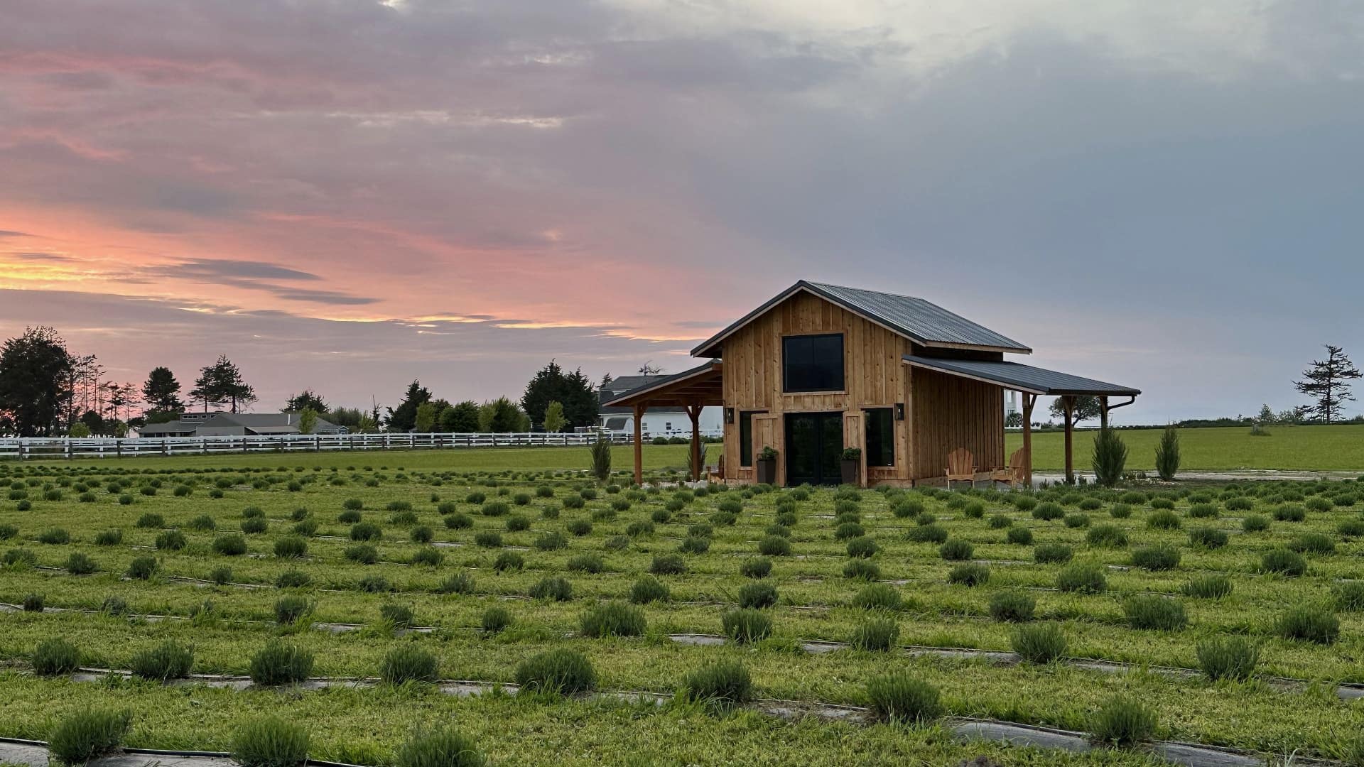 About Salt and Cedar Bed & Breakfast