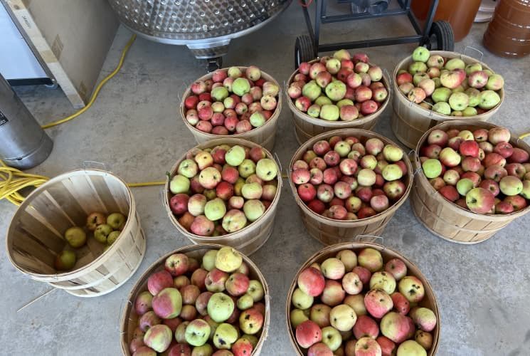 Cidermaking 101